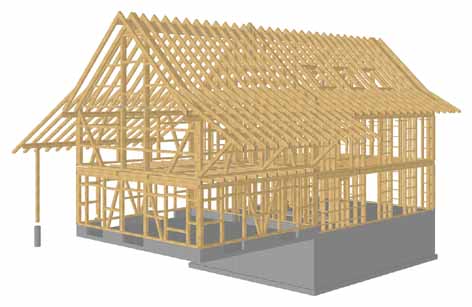 Holzbauplanung EFH in Wittenwil